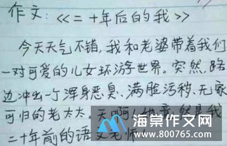 与众不同的我小学二年级作文500字