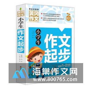 这就是我小学二年级优秀作文200字