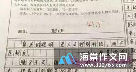 可爱的袋鼠初一作文500字