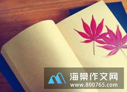 难忘的生日的初一作文550字