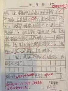 我和我的同桌小学二年级作文