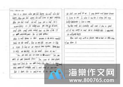 画鼻子小学二年级作文400字