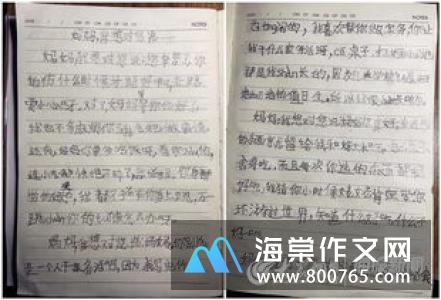 我爱作文集小学一年级作文350字