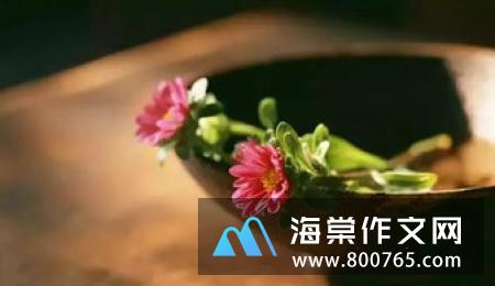 大树与小草高一作文700字