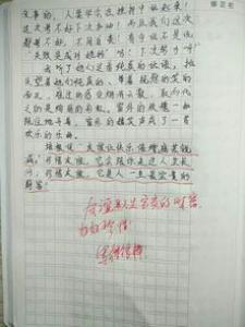 寒假方案小学二年级作文