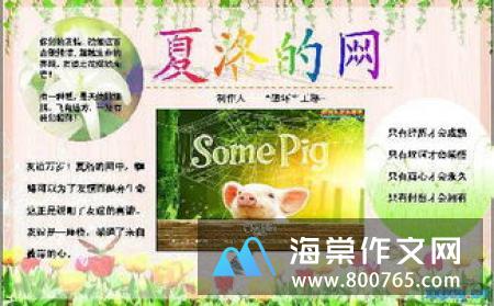 友谊之桥一年级作文