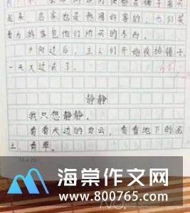 1 1=几小学一年级作文250字