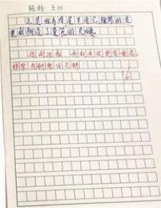 感动的小学二年级作文450字
