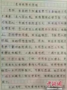 我们家的小菜秧小学二年级作文400字