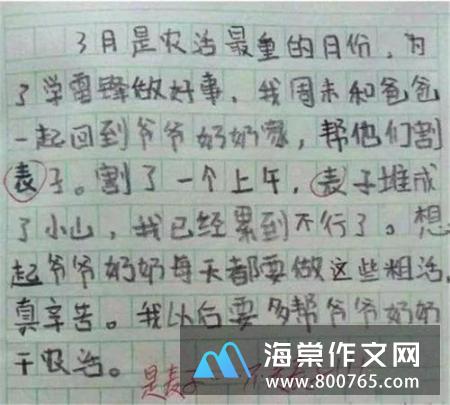 风干的眼泪高一作文500字