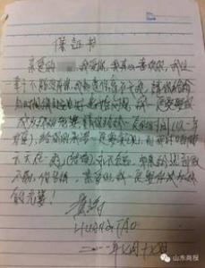 小核桃的自述初一作文450字