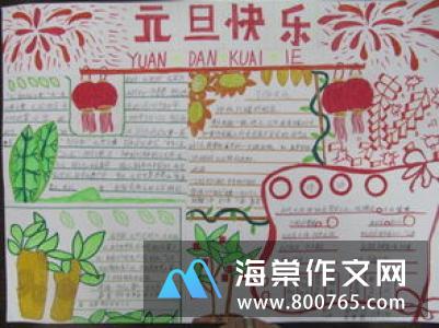 可爱的小波波熊二年级作文