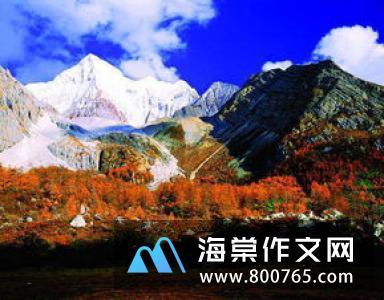 关于秋景的初一作文600字