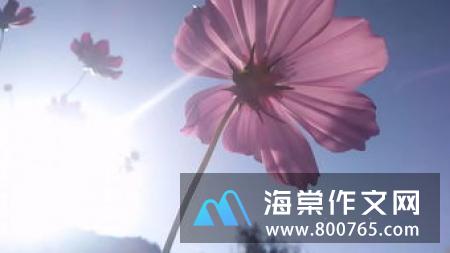 17条关于集体的名言警句