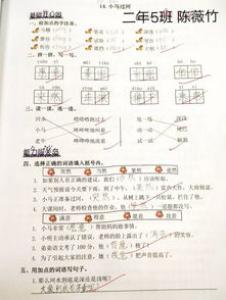小学一年级记事作文：蓝天之约