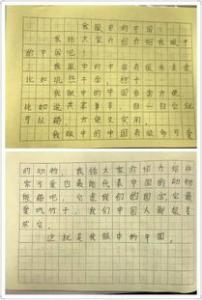 观察仓鼠小学二年级作文350字
