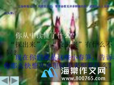 乡下人家一年级作文500字
