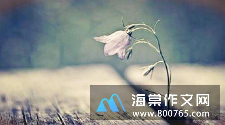 描写关于幸福的名言警句