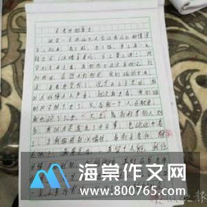 第一场雪的小学一年级作文350字