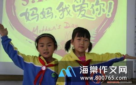 迟悟的寸草心高一作文1000字