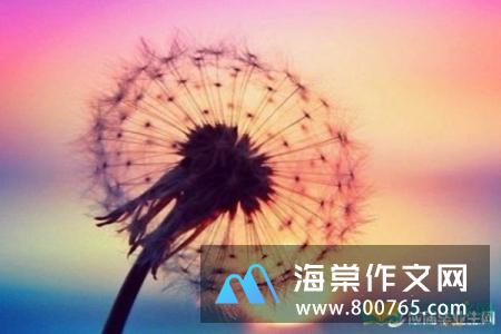 现代的名言警句欣赏