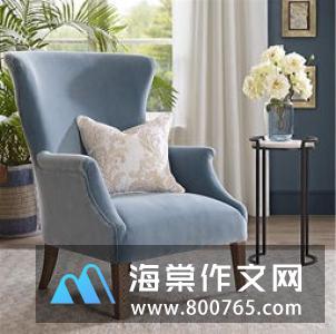 我的小台灯高一作文
