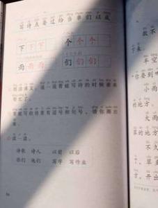 人与自然小学一年级作文
