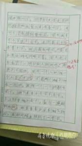 最后一个夏天小学一年级写景作文