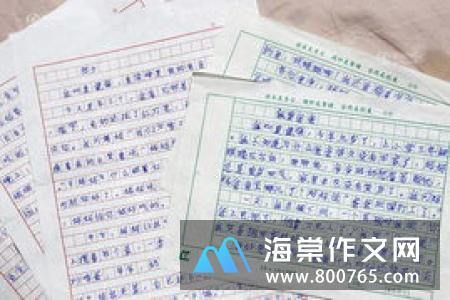 我的世界一年级作文