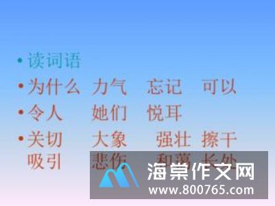 有趣的下象棋一年级作文