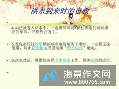 发洪水了小学二年级作文