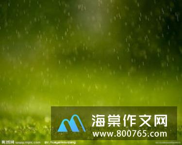 雨的印记小学一年级作文