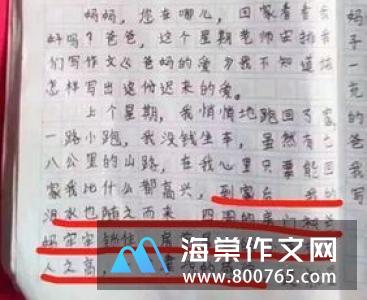 我想有个家一只小鸟的心声高一作文