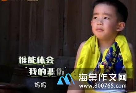 慈母和严父高一作文