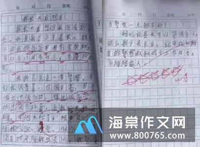 如果我是你小学二年级作文