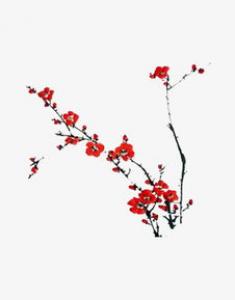 暴风雨中的富贵竹高一作文800字