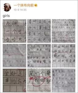 我想有个家一只小鸟的心声高一作文