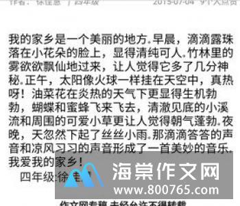 我的家乡一年级作文350字