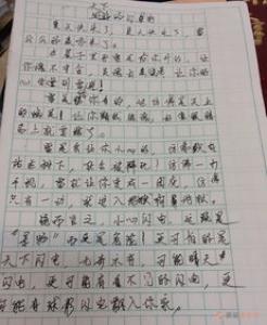 我真了不起的初一作文