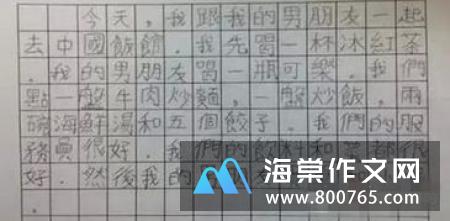 我的世界一年级作文