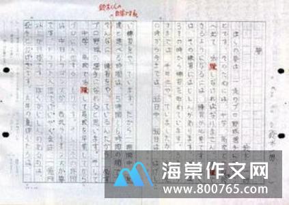 我的梦想的小学二年级作文