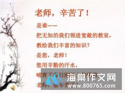 最后一个夏天小学一年级写景作文