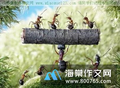 雨的印记小学一年级作文