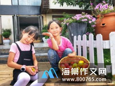 我的哥哥小学二年级作文