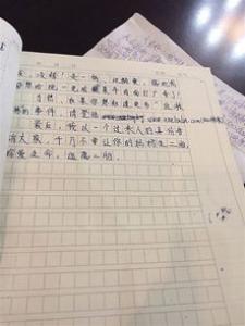 家有一宝高一作文