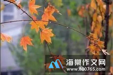 秋雨小学二年级作文400字