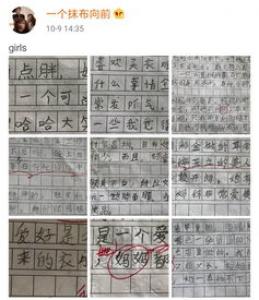 养花小学二年级作文