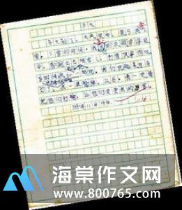 春节的小学二年级作文550字