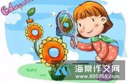 一年级有趣的发现作文30字