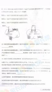 我真了不起的初一作文